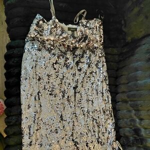 Forever 21 Silver Sequin Prom Dress